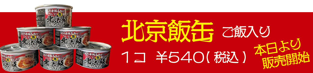 北京プロジェクト