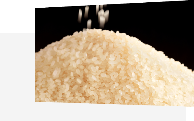 あいちのかおり